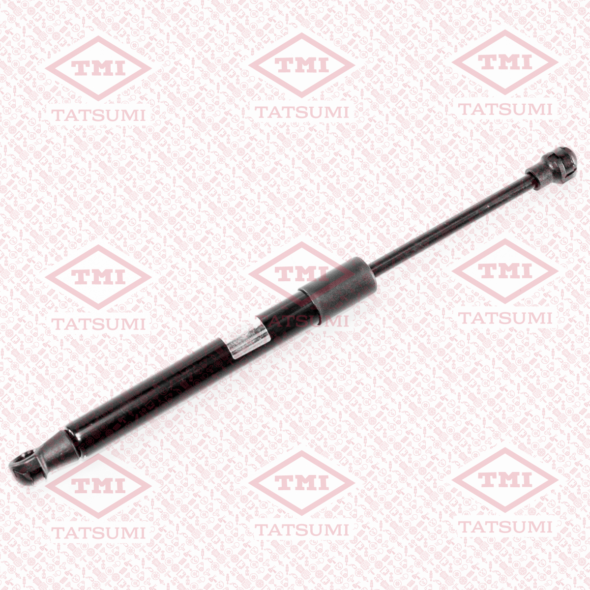 Trunk shock absorber