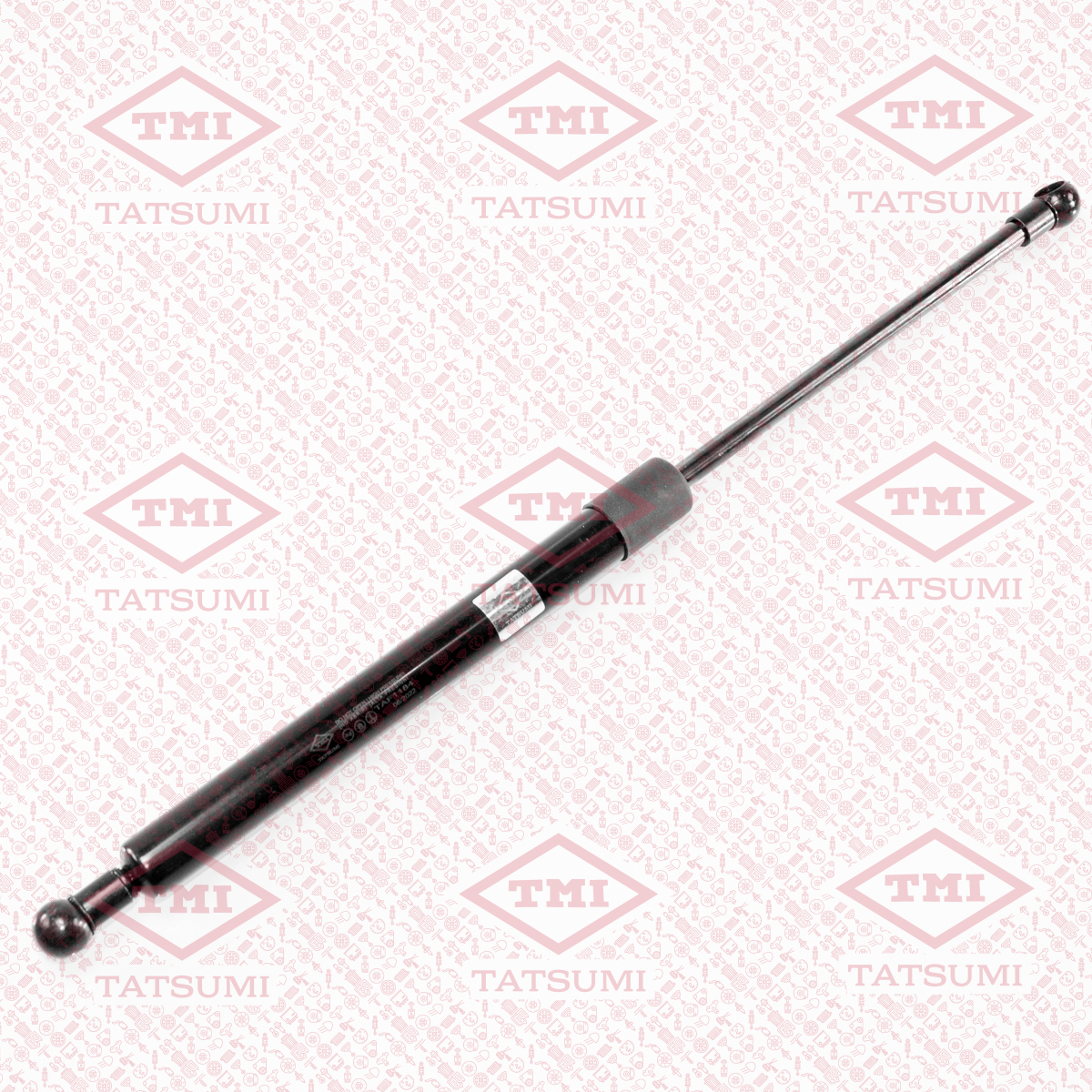 Trunk shock absorber