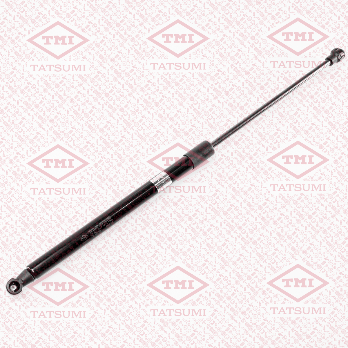 Trunk shock absorber