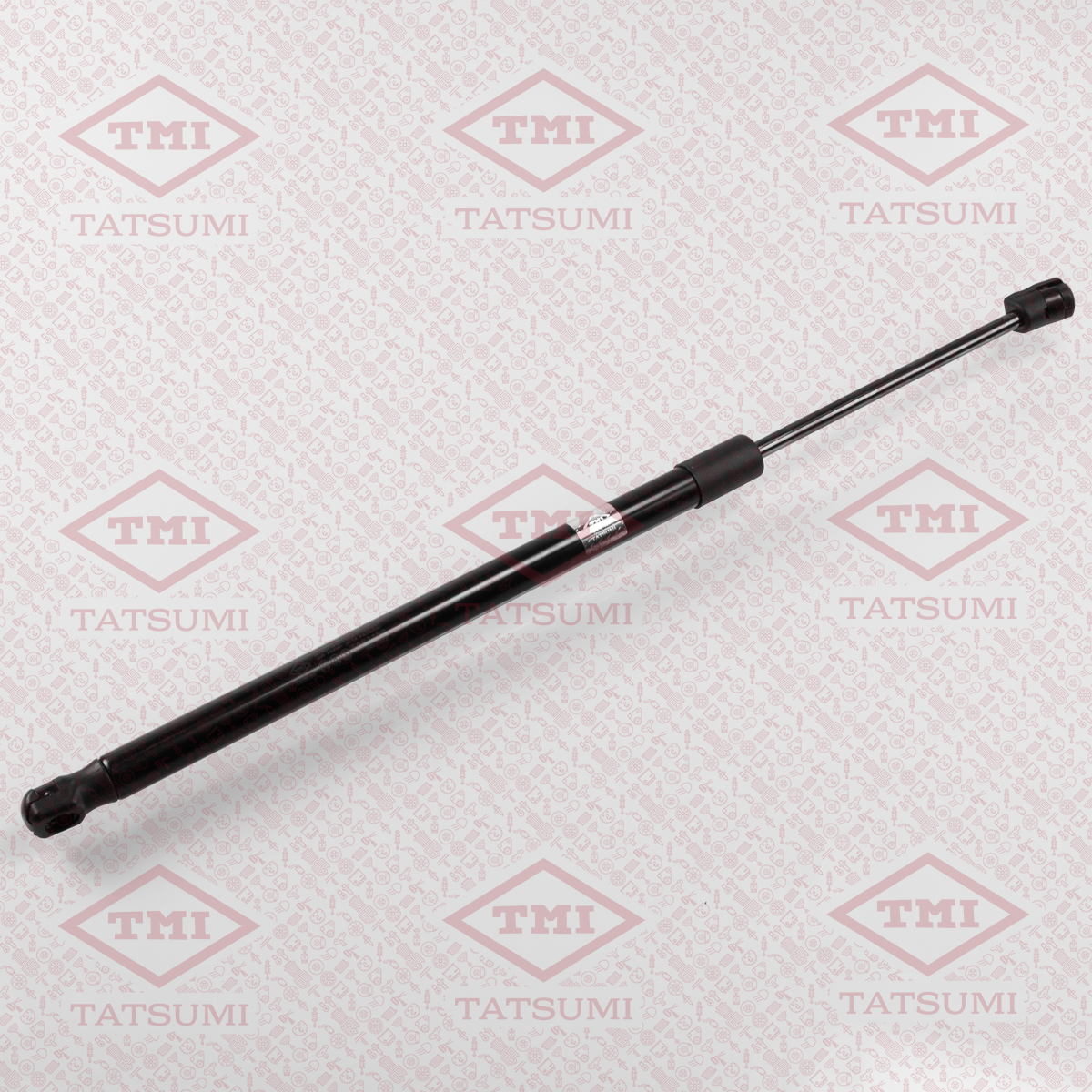 Trunk shock absorber