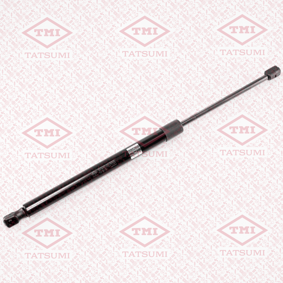 Trunk shock absorber