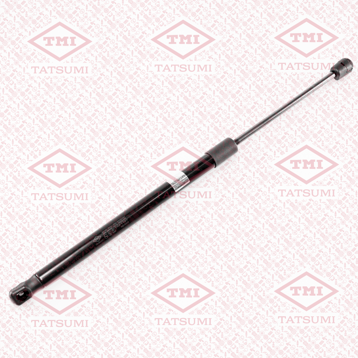 Trunk shock absorber