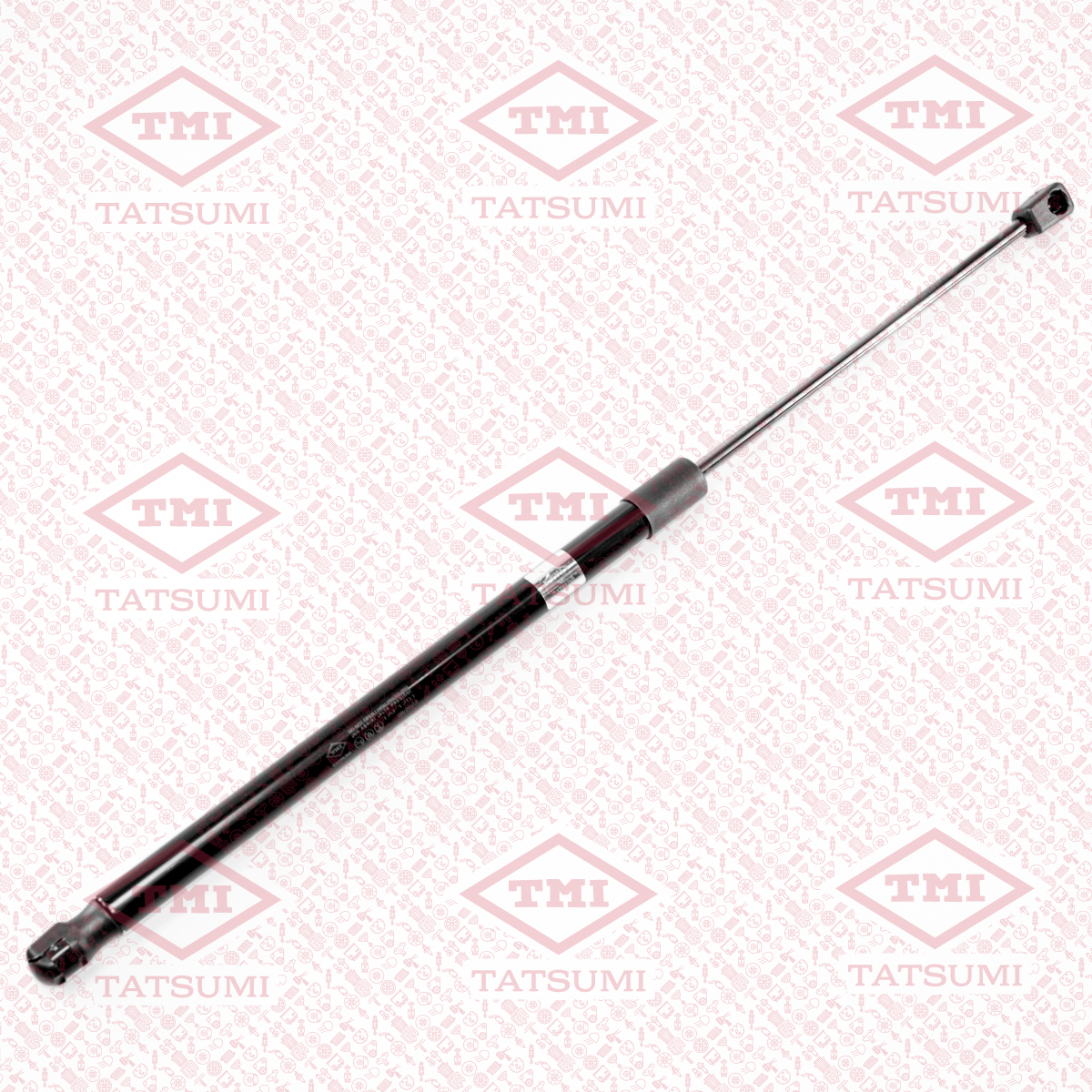 Trunk shock absorber