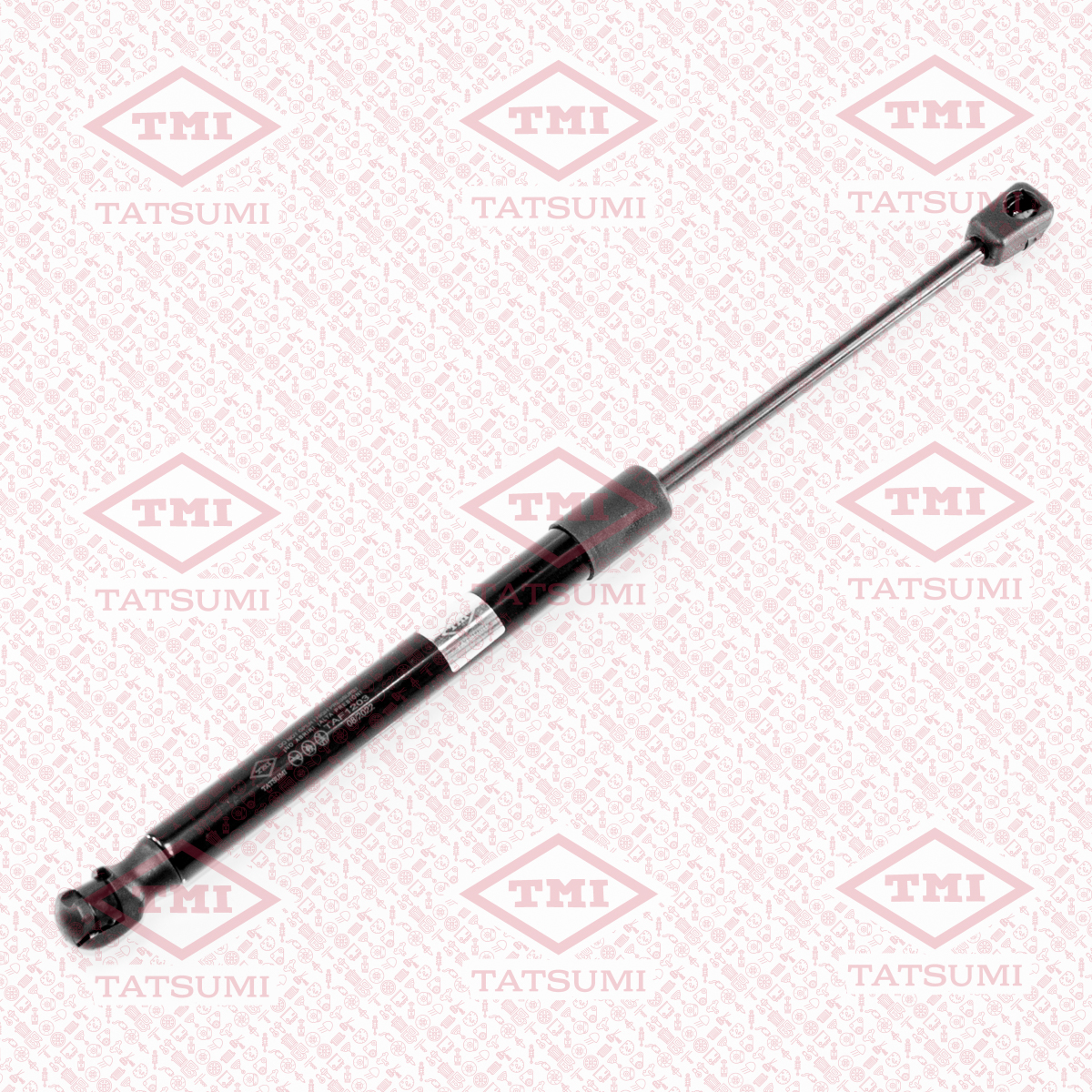 Trunk shock absorber