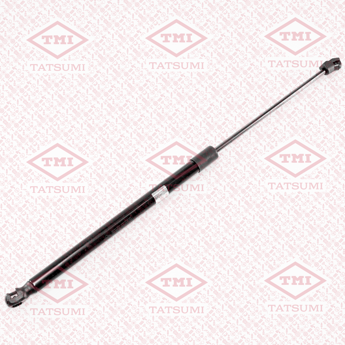 Trunk shock absorber