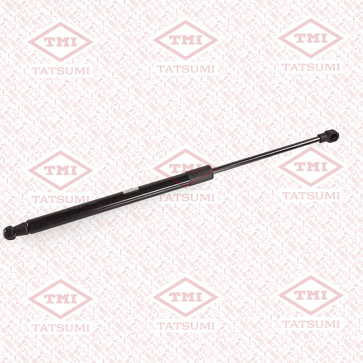 Trunk shock absorber