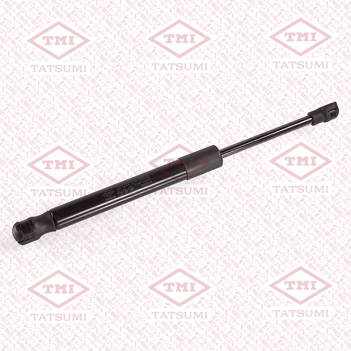 Trunk shock absorber