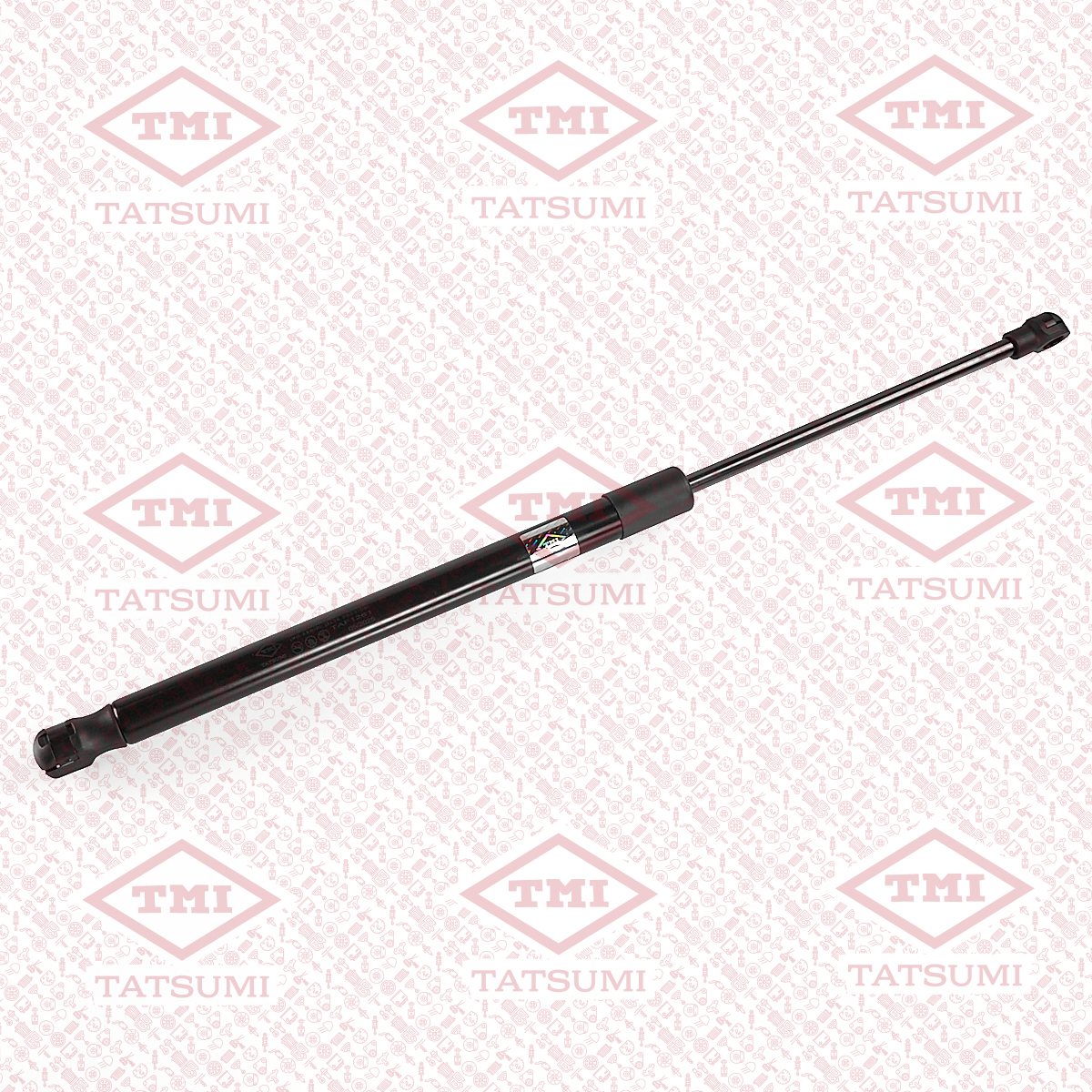 Trunk shock absorber