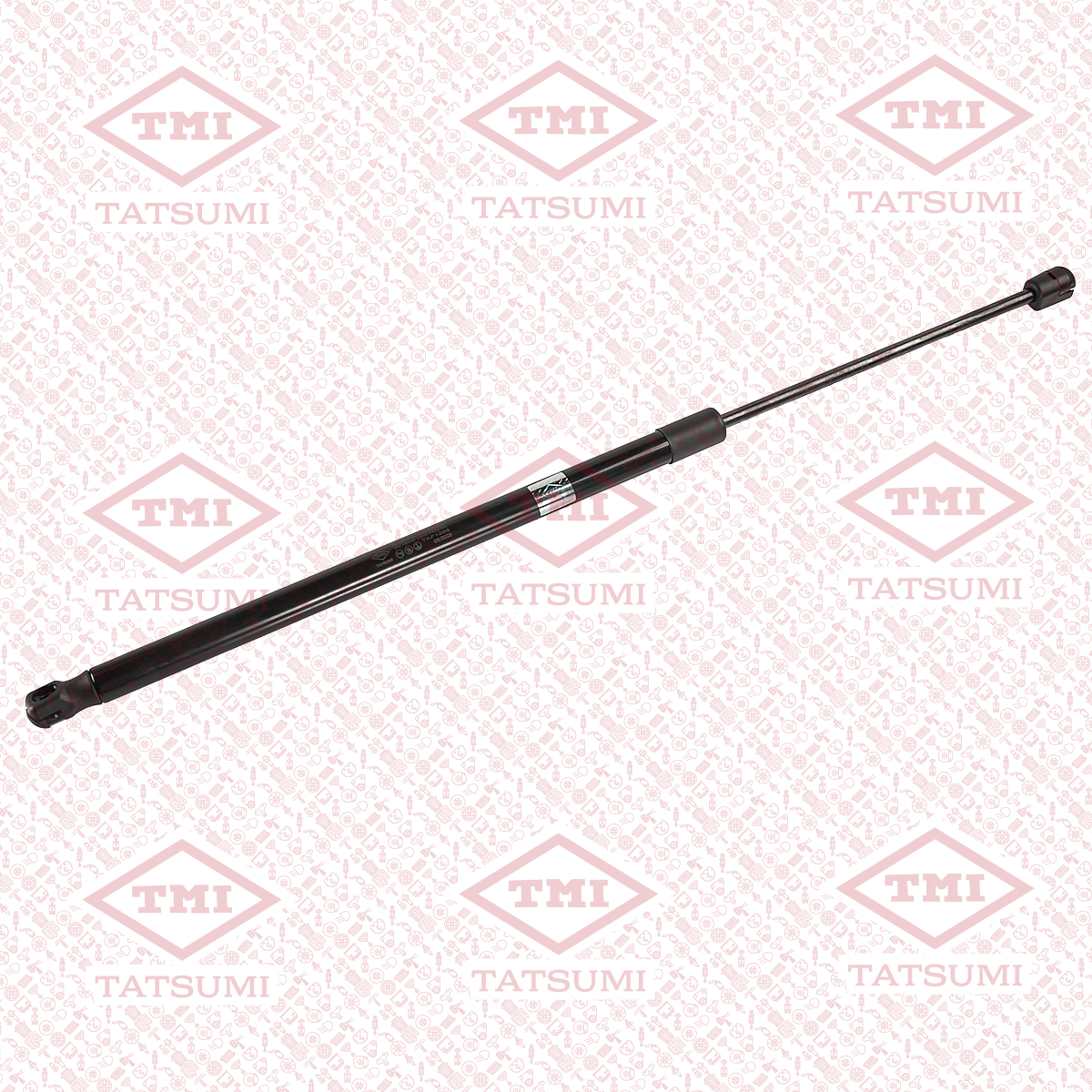 Trunk shock absorber