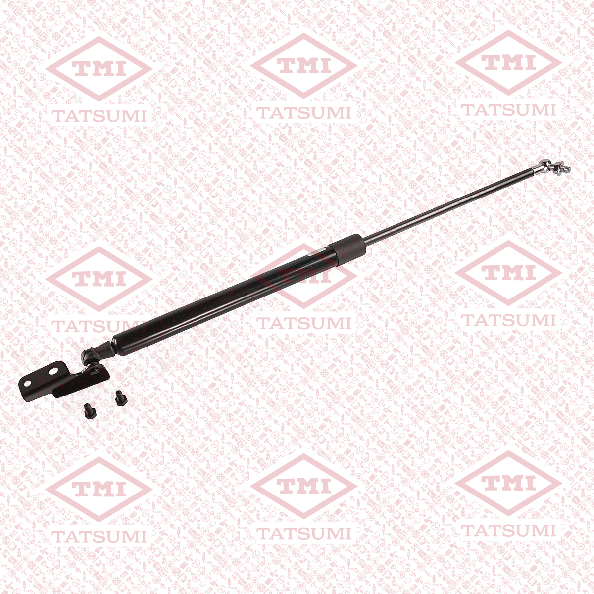 Trunk shock absorber