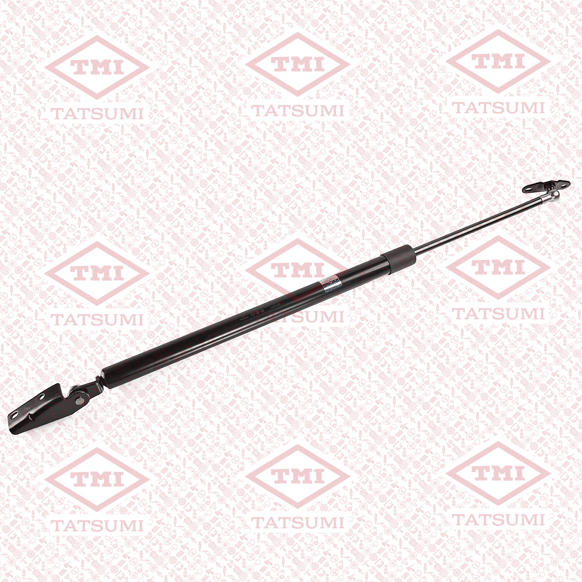 Trunk shock absorber
