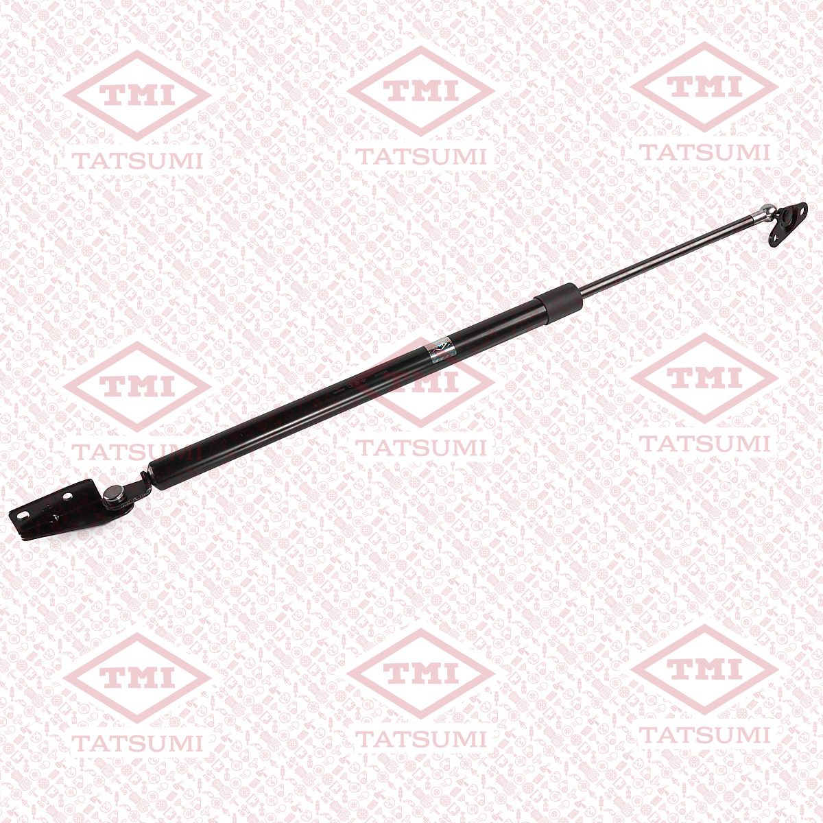 Trunk shock absorber