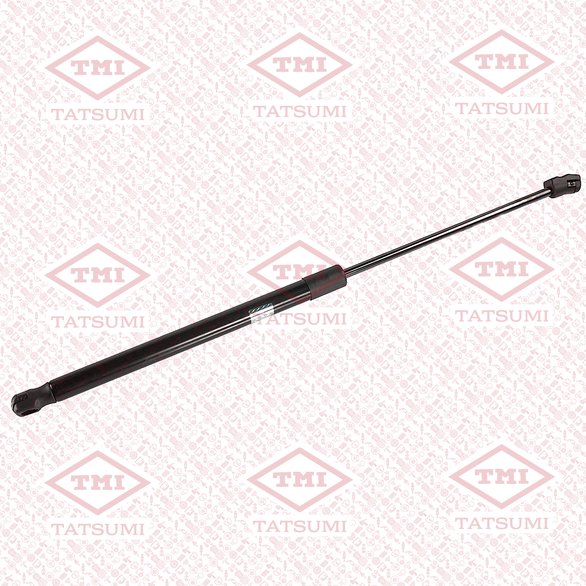 Trunk shock absorber